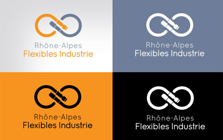 rhone-alpes-flexible-charte-graphique-declinaison-couleur