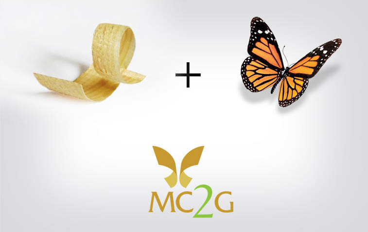 mc2g-menuiserie-sens-du-logo
