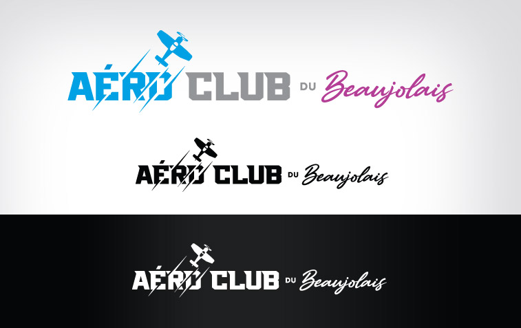 aeroclub-du-beaujolais-charte-declinaison-logo-horizontal